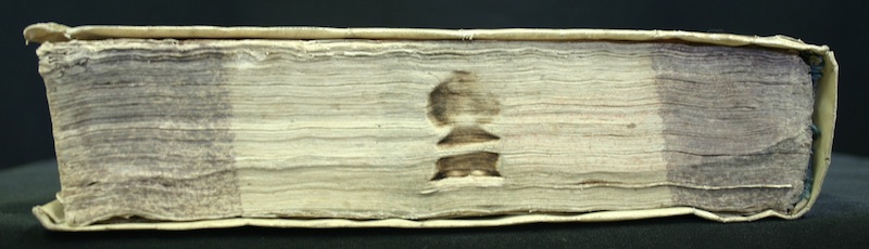 25744 canto.jpg